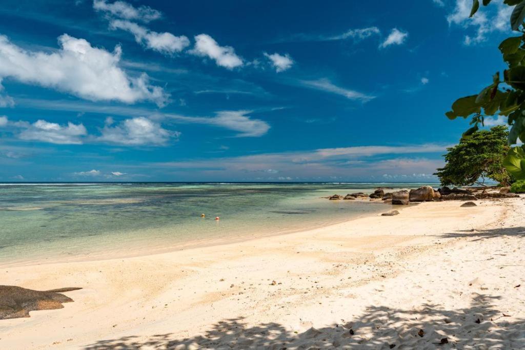 شقة L'Echappee Du Cap Pointe Au Sel المظهر الخارجي الصورة