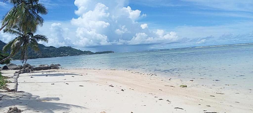 شقة L'Echappee Du Cap Pointe Au Sel المظهر الخارجي الصورة