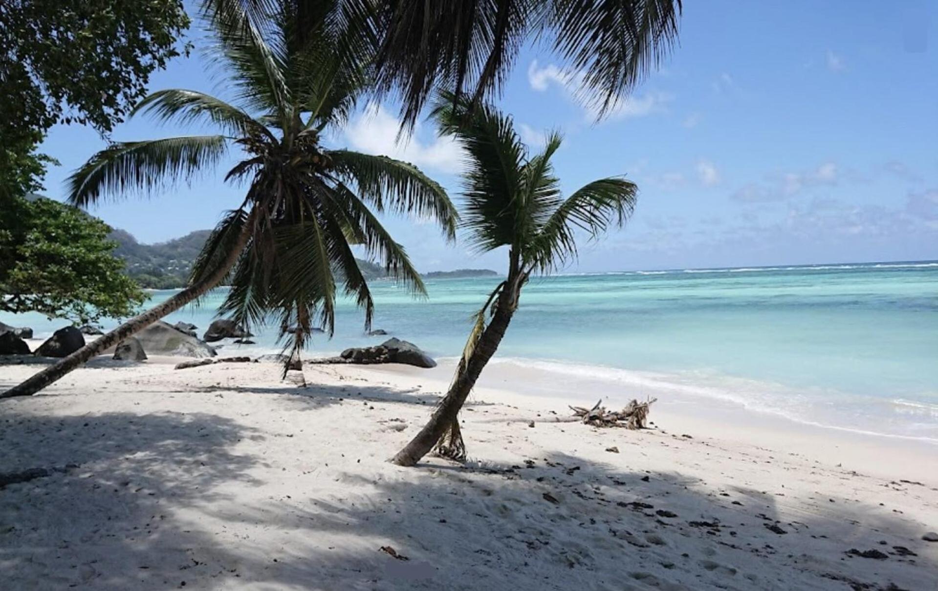 شقة L'Echappee Du Cap Pointe Au Sel المظهر الخارجي الصورة