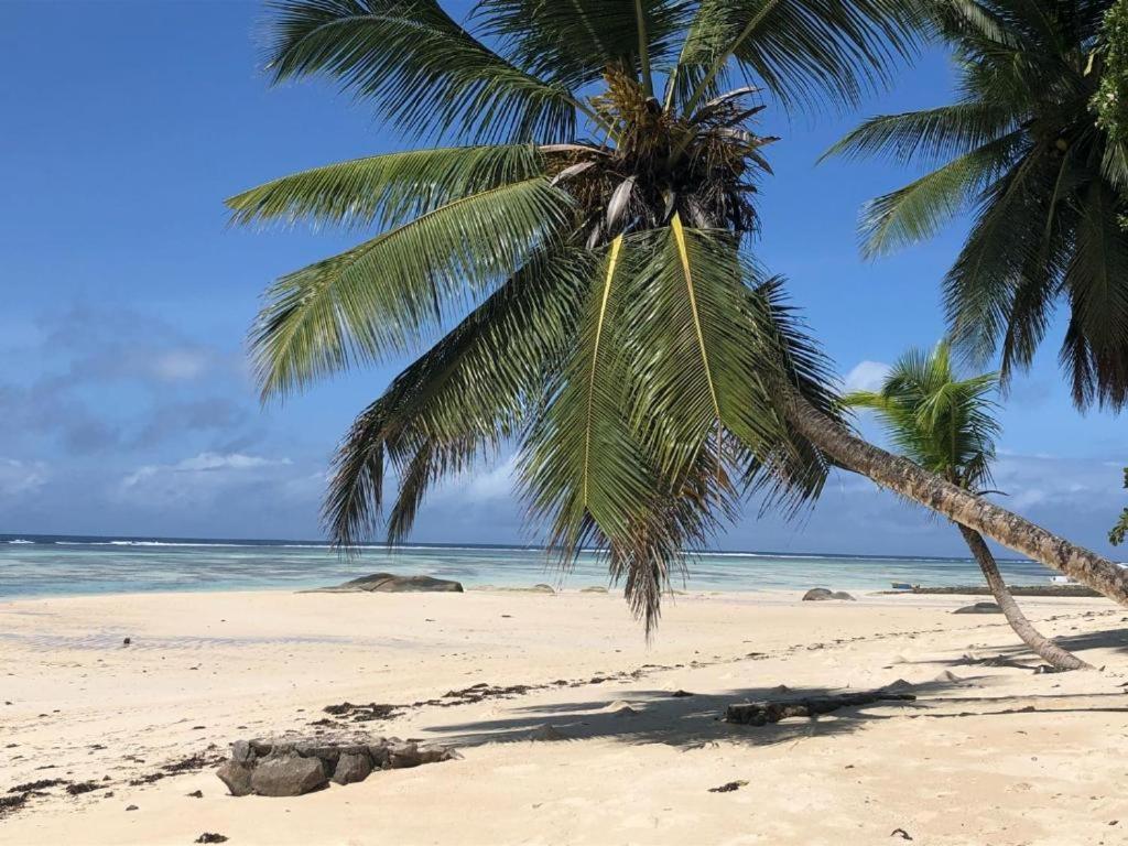 شقة L'Echappee Du Cap Pointe Au Sel المظهر الخارجي الصورة